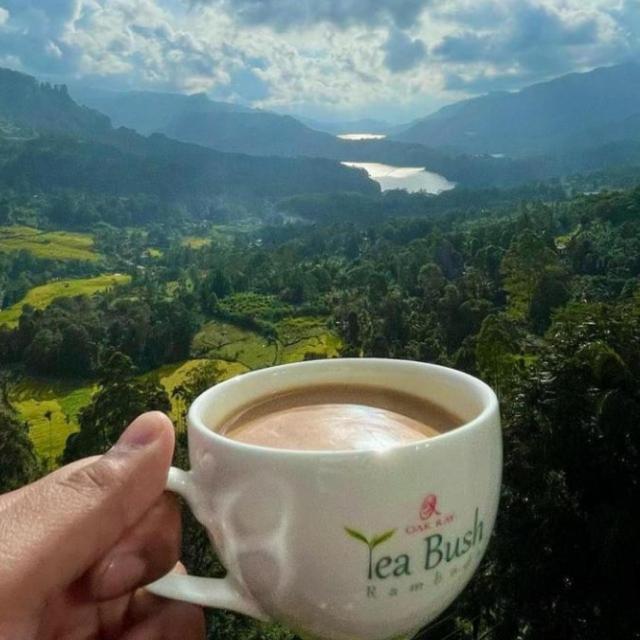 Oak Ray Tea Bush Hotel Ramboda Bagian luar foto